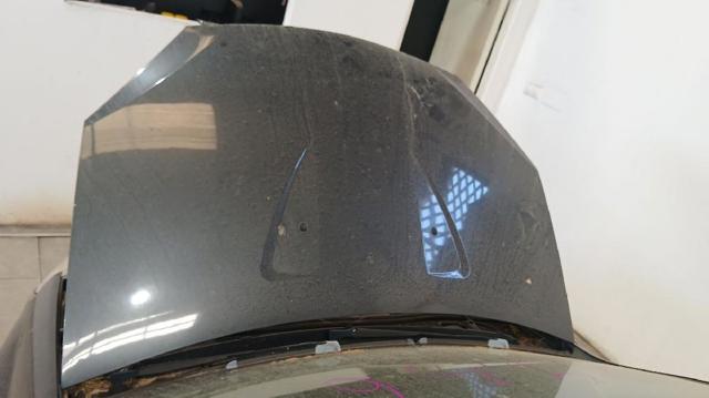 Comprar Capó Dacia Sandero I BS0, 1 a bajo precio