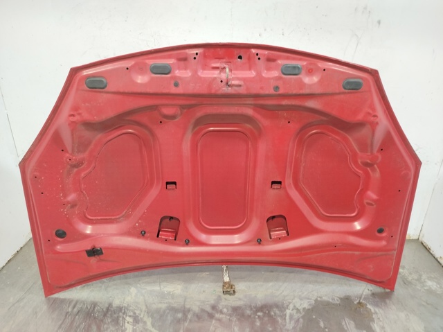 RENAULT 6001551793 Capó  en stock Salamanca