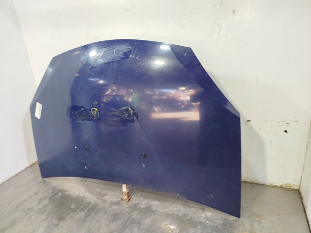 RENAULT 6001551793 Capó  comprar en Murcia