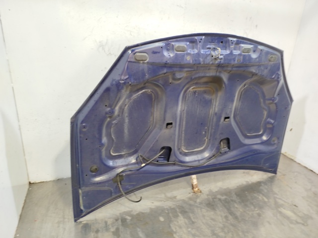 RENAULT 6001551793 Capó  comprar en Albacete