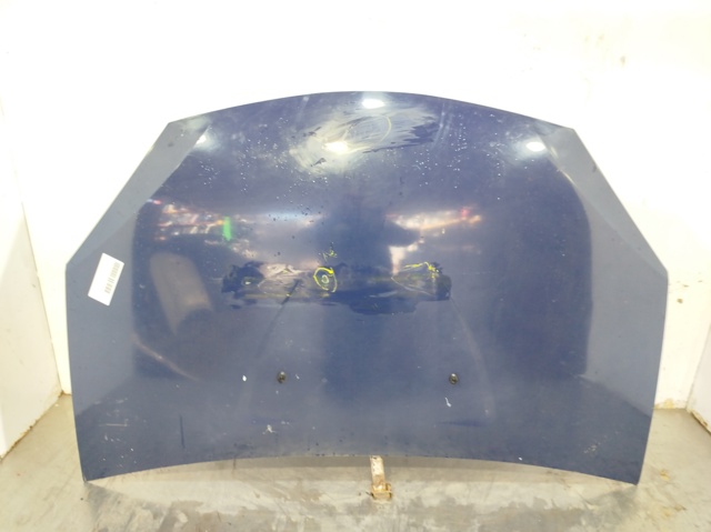 RENAULT 6001551793 Capó  comprar en Ponferrada