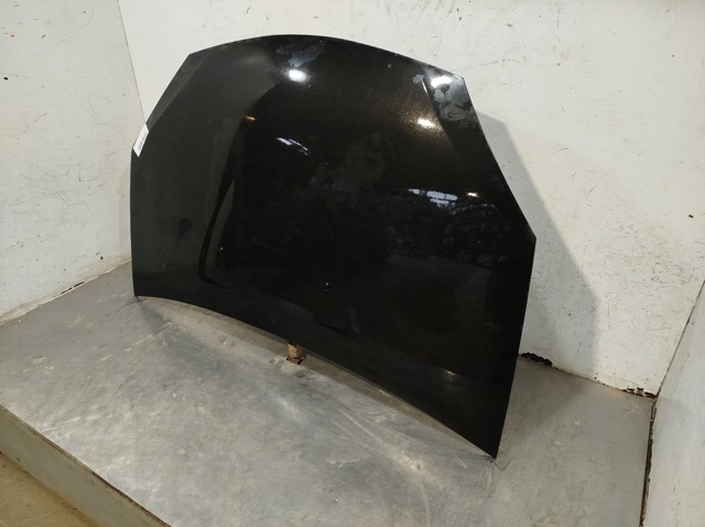 6001551793 RENAULT Capó comprar Bilbao