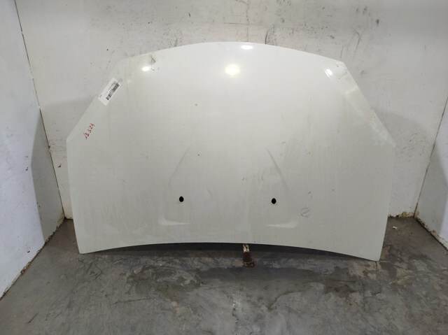Capot Sandero I hatchback (2008-2012) original desde 225,06 €