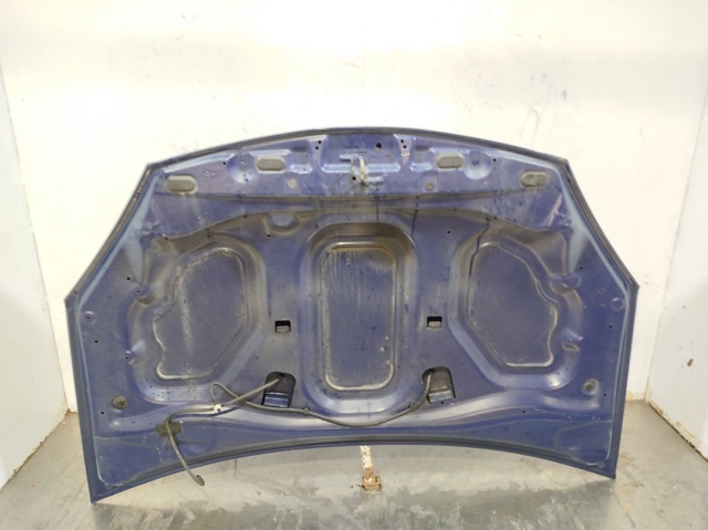 6001551793 RENAULT Capó  comprar en Jaén