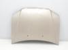 Capot 60100S10030ZZ HONDA