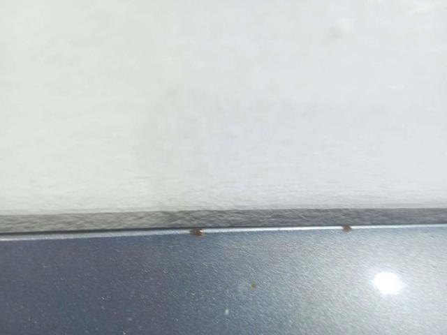 60100SMGE00ZZ HONDA Capó  comprar en Lleida