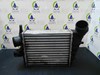 Intercooler 60619007 FIAT