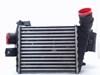 Intercooler 60619007 FIAT