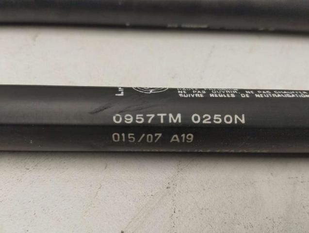 60688574 FIAT Amortiguador de capó  comprar en Oviedo