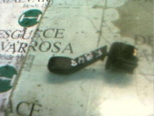 61318352172 BMW