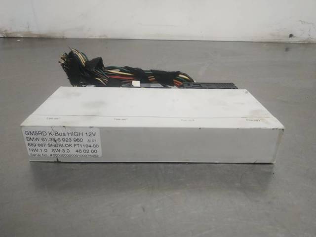 61356923960 BMW