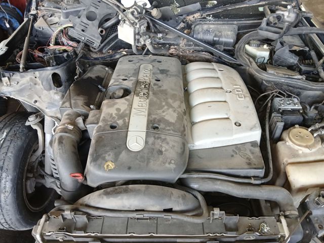 613960 Mercedes