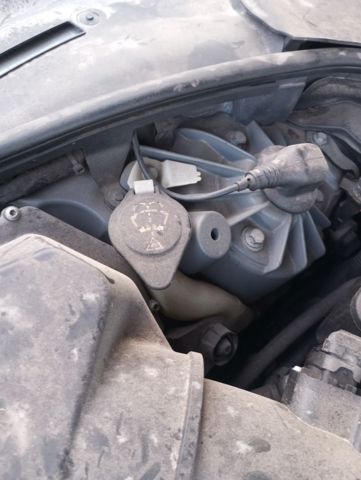 61667269667 BMW