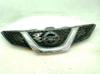 Calandra 623124EA0D NISSAN
