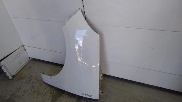 RENAULT 631017581R Aleta delantera izquierda comprar Pamplona