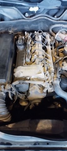 646961 Mercedes