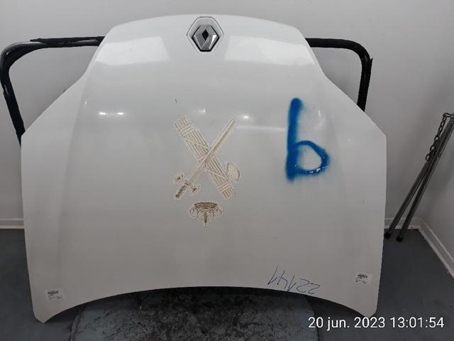 651000021R RENAULT Capó  comprar en Jaén