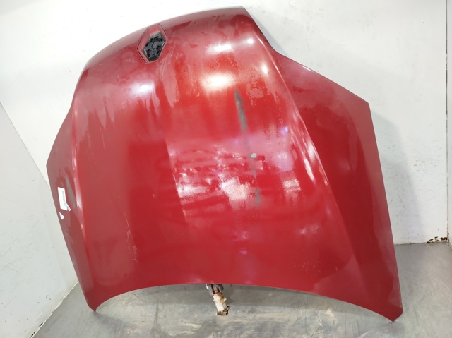 RENAULT 651000021R Capó  en stock Terrassa