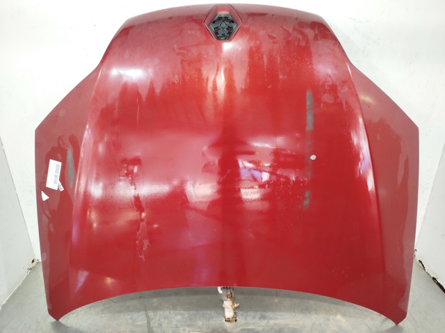 651000021R RENAULT Capó comprar Bilbao