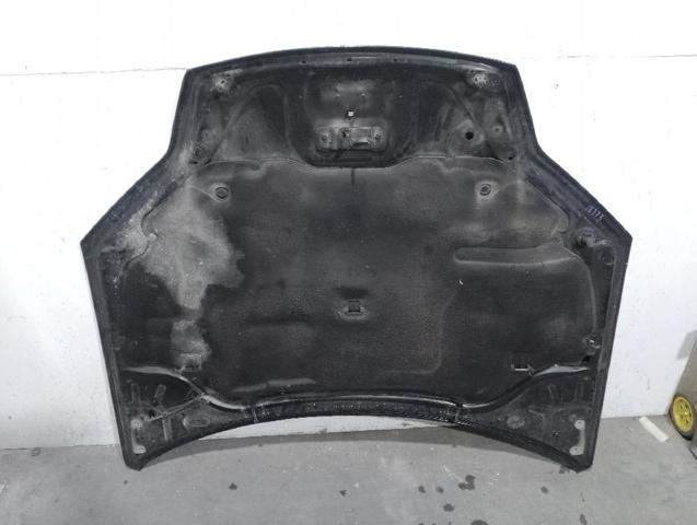 651000021R RENAULT Capó  comprar en Oviedo