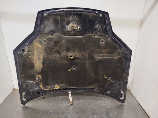 651000021R RENAULT Capó  comprar en Lleida