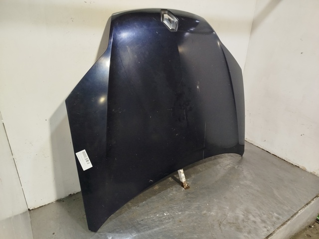 651000021R RENAULT Capó  comprar en Lleida