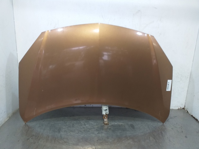 Capot Koleos  SUV (2008-2026) original desde 231,90 €