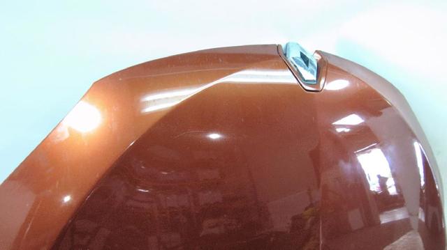 651000035R RENAULT Capó comprar Madrid