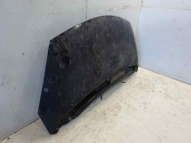 651000267R RENAULT Capó  comprar en Lleida