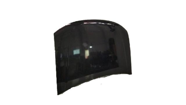 Capot Duster  SUV (2010-2018) original desde 197,10 €