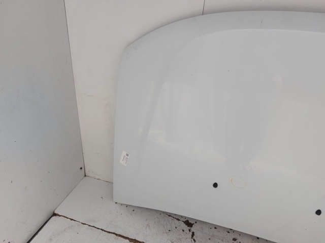 651000987R RENAULT Capó  comprar en Oviedo