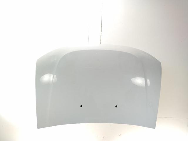 651000987R Renault (RVI)