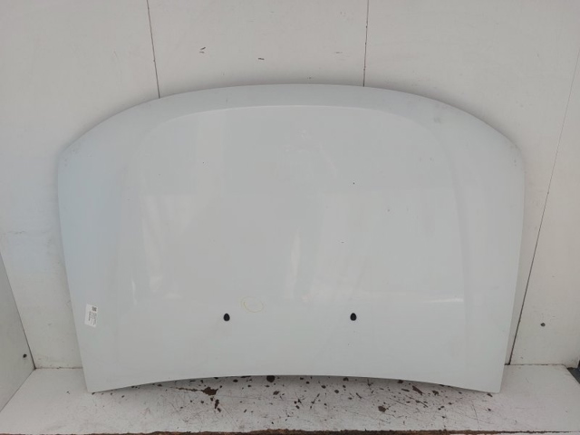 651000987R RENAULT Capó  en stock Gandía