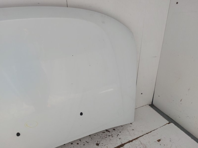 651000987R RENAULT Capó  comprar en Lleida