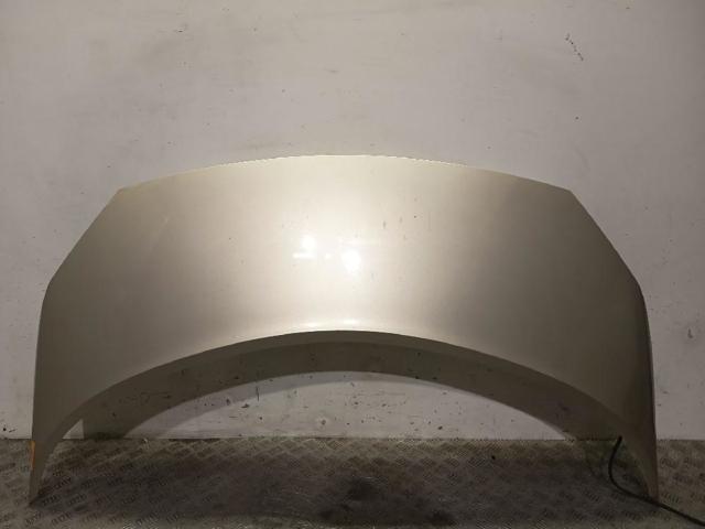 Capot para Renault Scenic II (JM0, JM1)