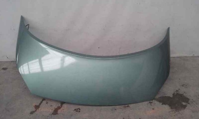 651001097R RENAULT Capó comprar Madrid