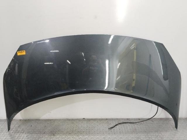 Capot Renault Scenic II monovolumen comprar en España