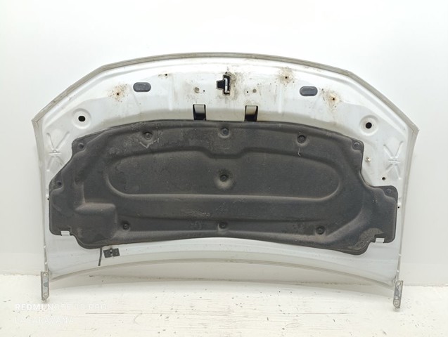 RENAULT 651001918R Capó  disponible Lugo