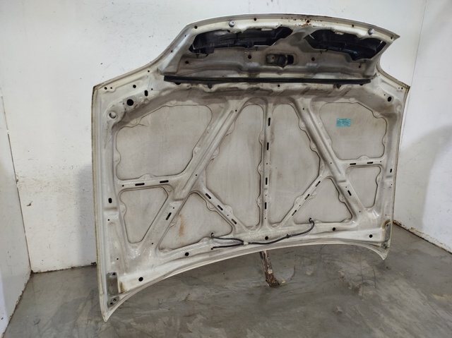 NISSAN 651001F530 Capó  comprar en Murcia