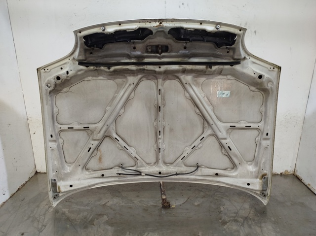 651001F530 NISSAN Capó  en stock Gandía