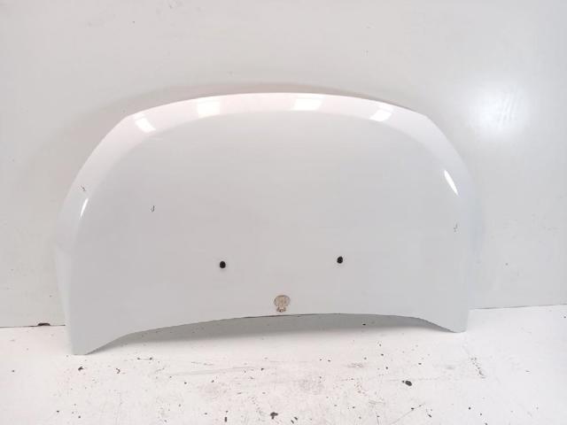 Capó para Renault DOKKER FE