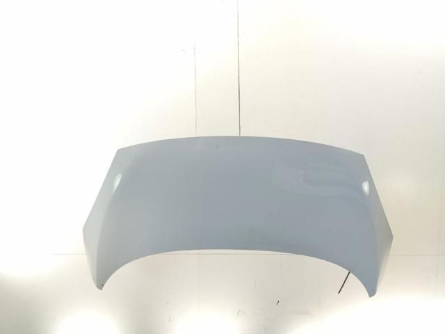 Capó del motor Renault Scenic III desde 267,17 €