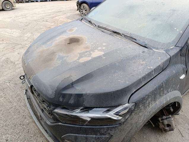 Capó delantero Dacia Sandero III (2021-2026)