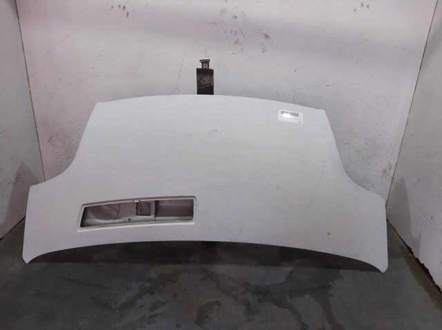 Capó del motor Renault Trafic II desde 214,90 €
