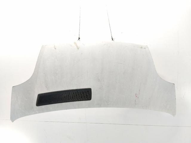 651005147R RENAULT Capó  disponible Alicante