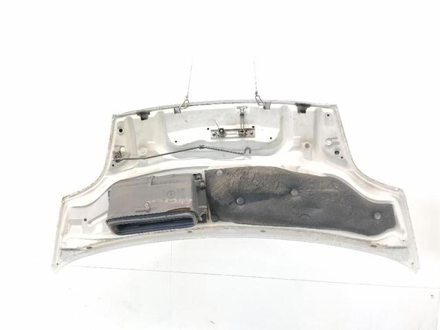 651005147R RENAULT Capó  comprar en Lleida
