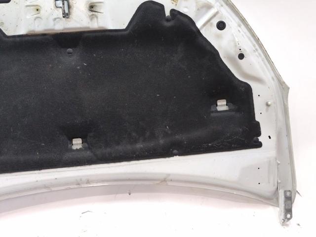 651007793R RENAULT Capó comprar Madrid