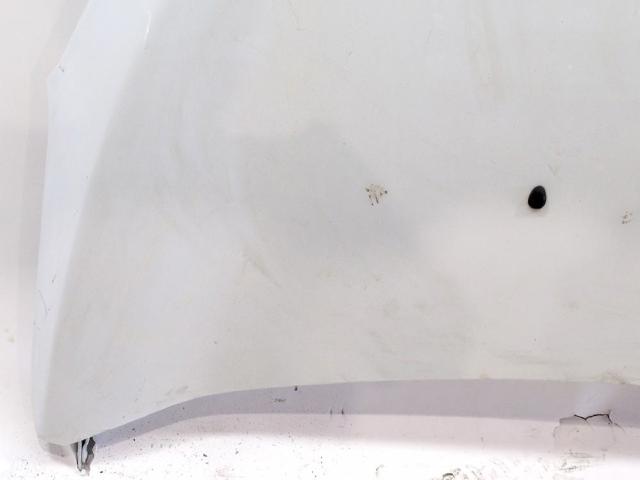 651007793R RENAULT Capó comprar Bilbao