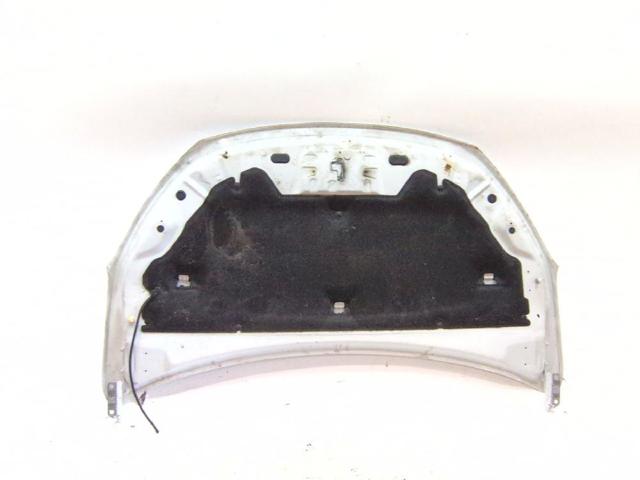 651007793R RENAULT Capó  disponible Alicante