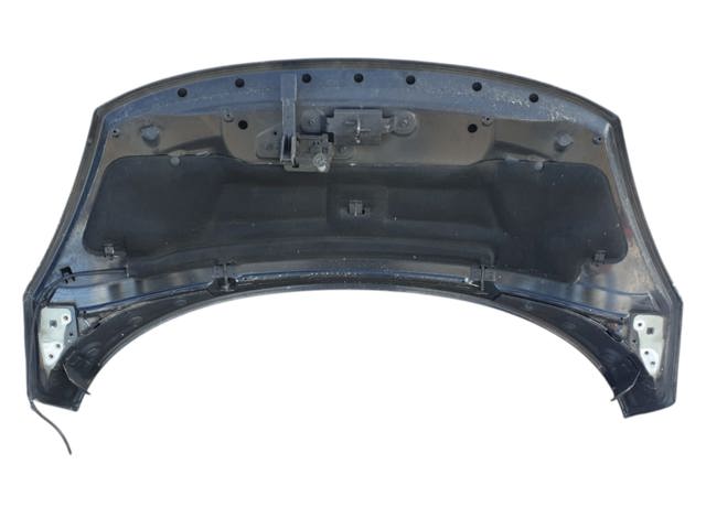 Comprar Capot Scenic III JZ0, JZ1